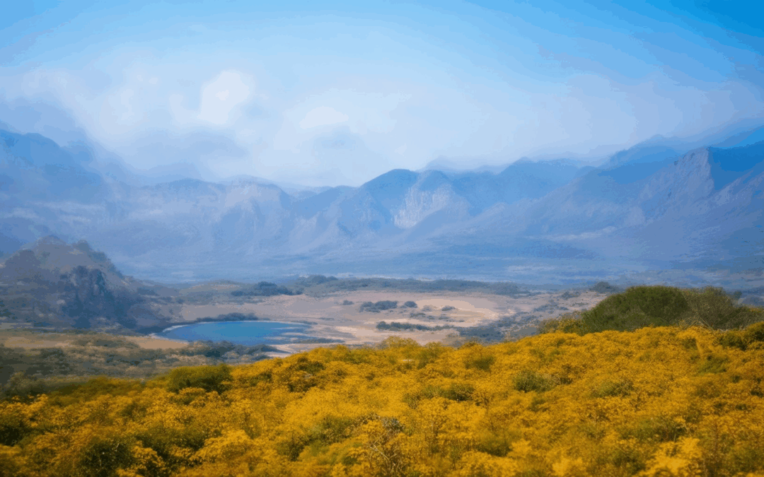 Unveiling Unique Perspectives on Travel: How It Broadens Our Understanding