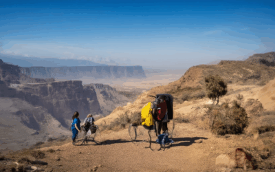 Can You Get Paid to Travel? Exploring Humanity Through Travel